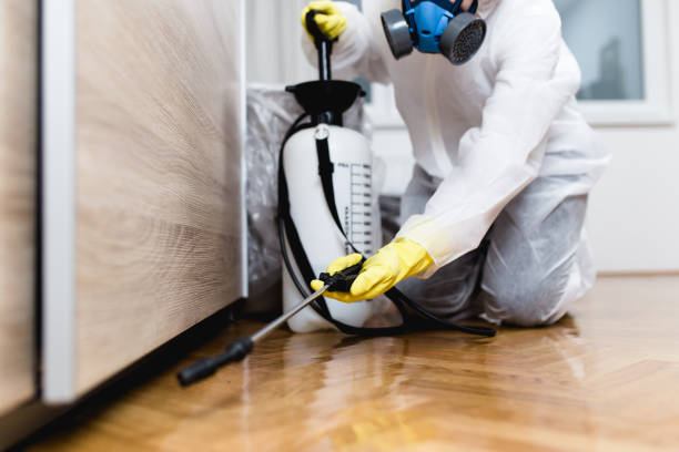 Best Local Pest Control Services  in Crystal Lake, FL