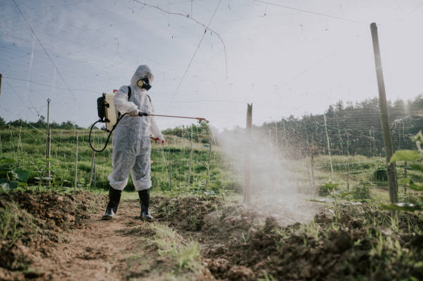 Best Commercial Pest Control Services  in Crystal Lake, FL