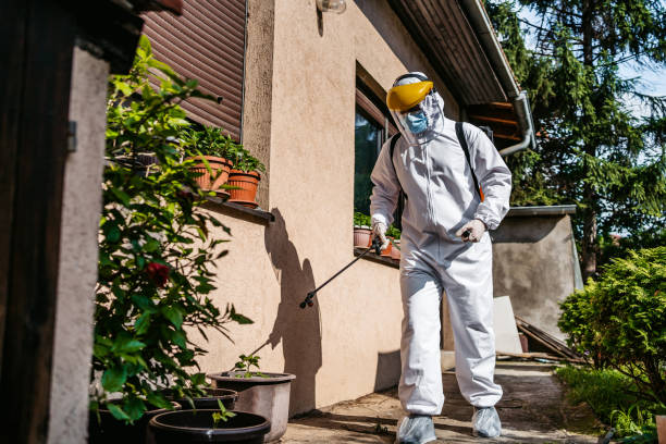 Best Local Pest Control Services  in Crystal Lake, FL