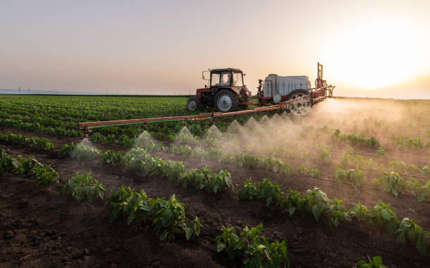 Professional Pest Control in Crystal Lake, FL