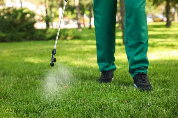 Best Termite Control Services  in Crystal Lake, FL