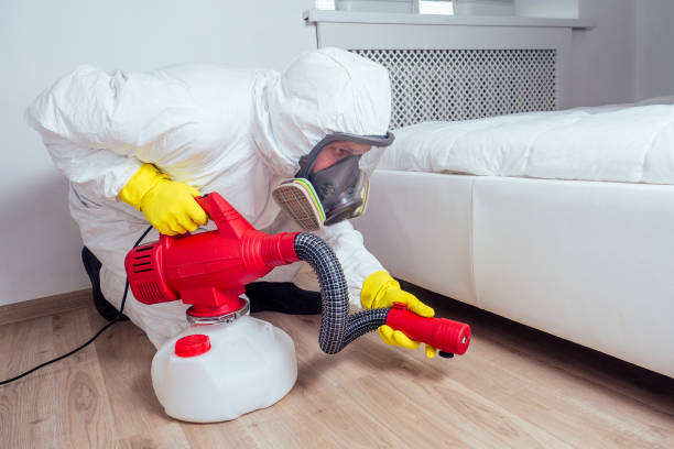 Best Bed Bug Extermination  in Crystal Lake, FL