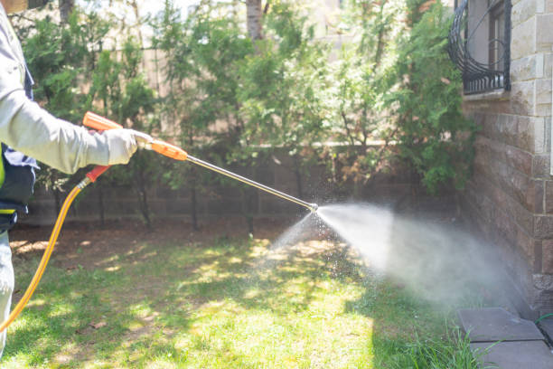 Best Pest Removal Services  in Crystal Lake, FL