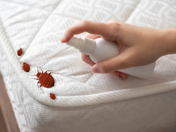 Best Cockroach Control Services  in Crystal Lake, FL